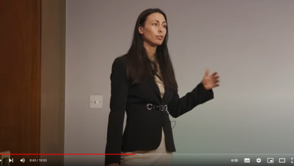 Gaya Herrington - screenshot video Insights for Avoiding Global Collapse