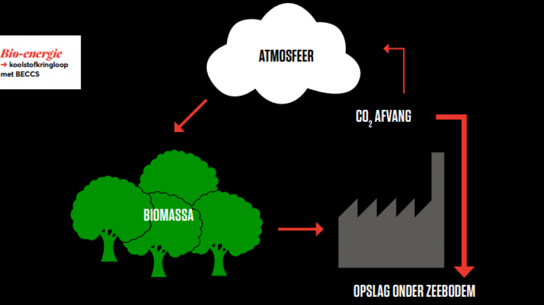 Uitleg biomassa met visuals