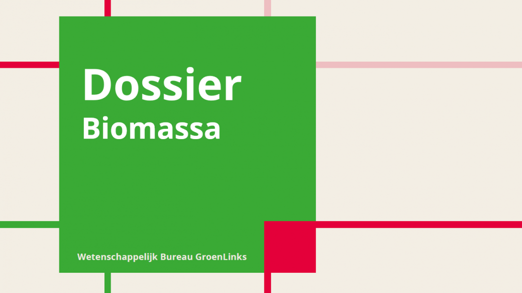 Afbeelding dossier biomassa