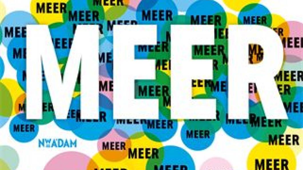 Afbeelding van de cover van het boek meer