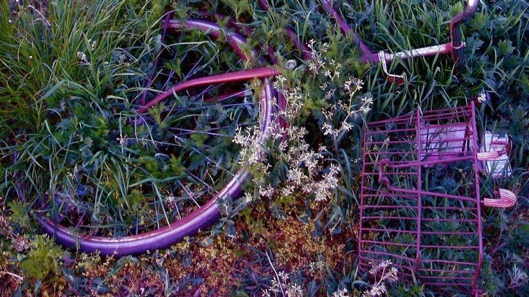 Fiets die in het gras ligt.