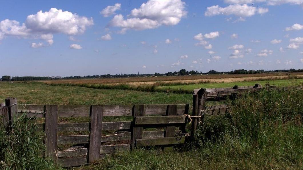 De polder in Braambrugge.
