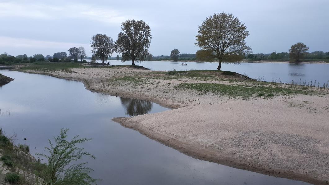 Maas bij Gewande in Noord-Brabant