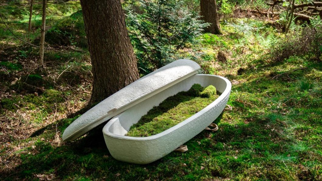 Doodskist van mycelium.