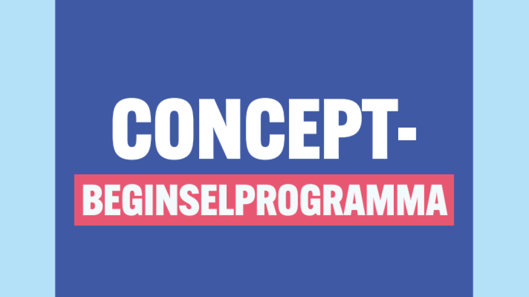 Concept-beginselprogramma