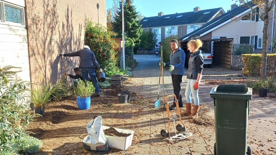 Aanplant van waardplanten in de Zwolse straat Schipbeek.