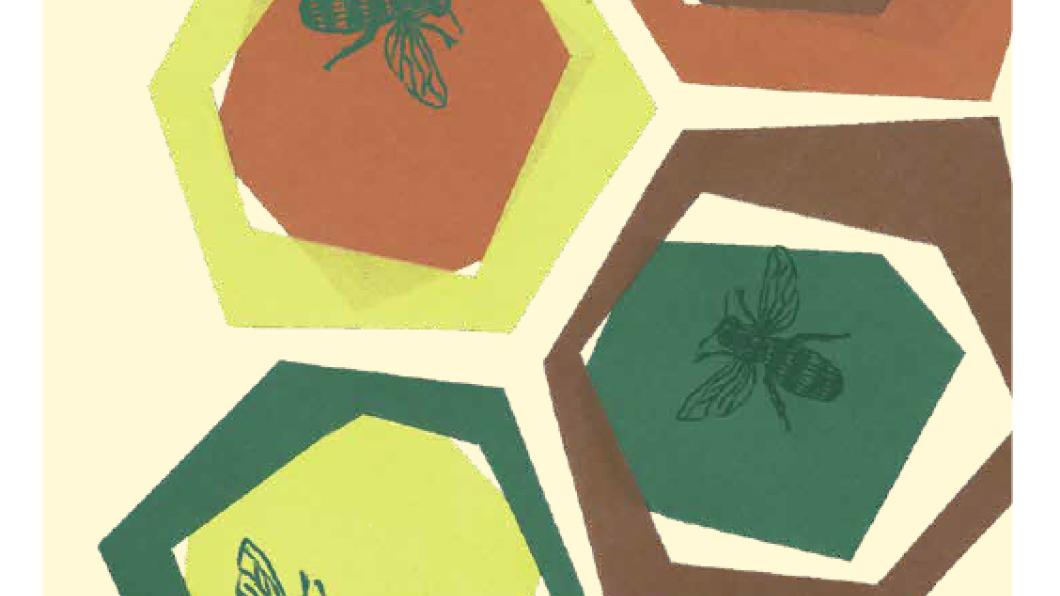 de Helling lente 2026 cover