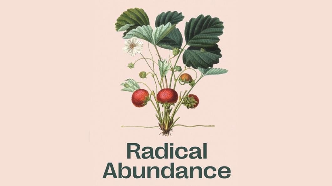 uitsnede cover Radical Abundance