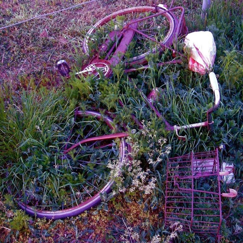 Fiets die in het gras ligt.