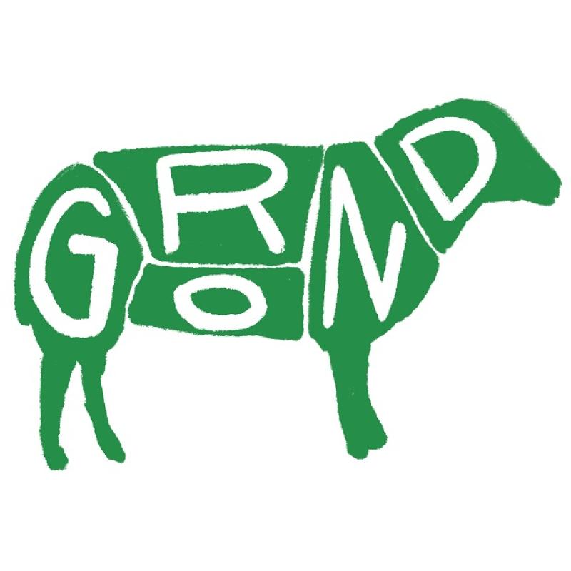 Grond - schaap