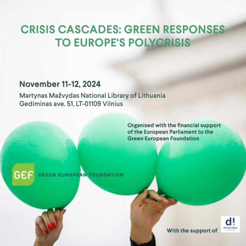 Green European Foundation - Crisis Cascades conference