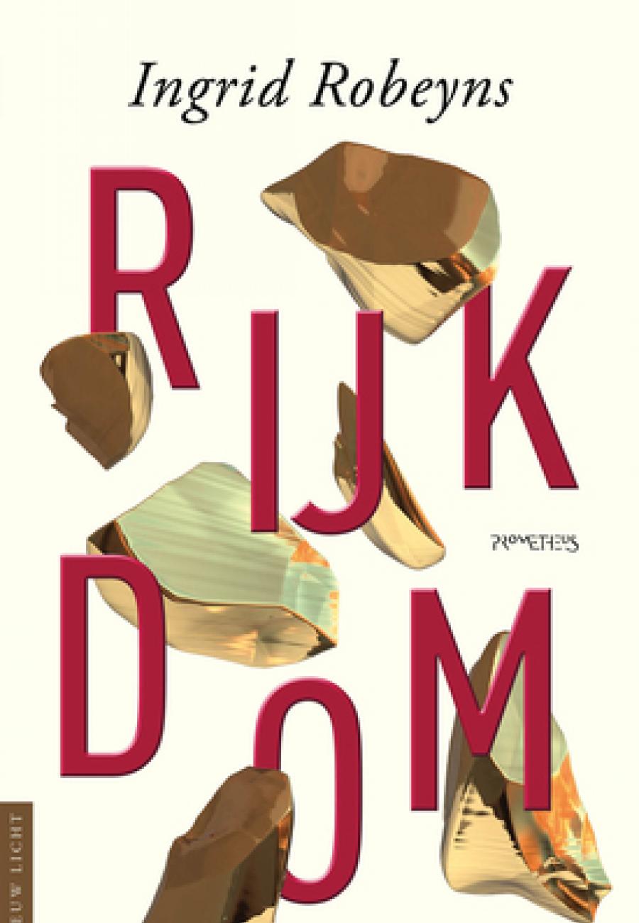 Foto van omslag boek “Rijkdom” van Ingrid Robeyns