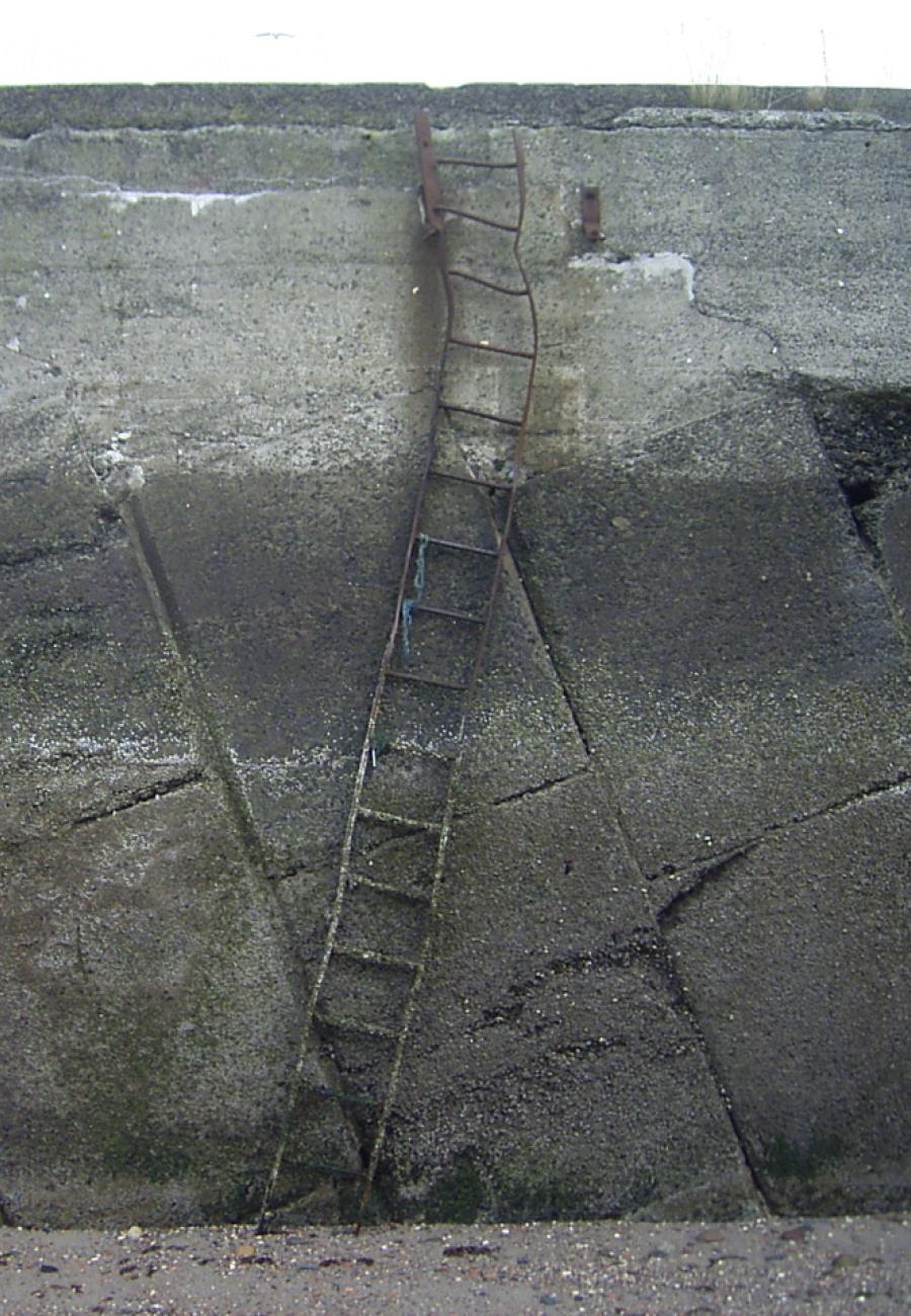 ladder
