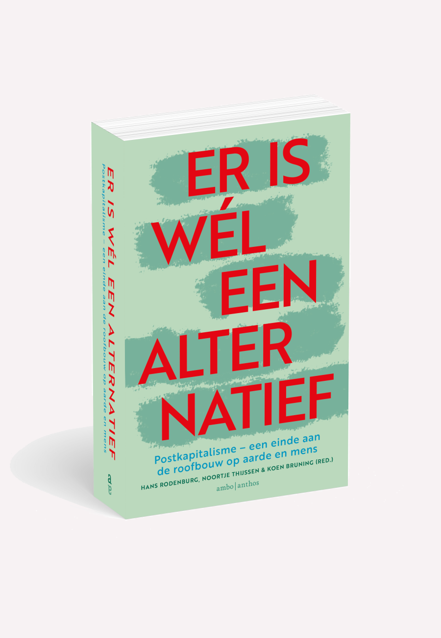 Boek-Er-is-wel-een-alternatief-rodenburg-kapitalisme-cover