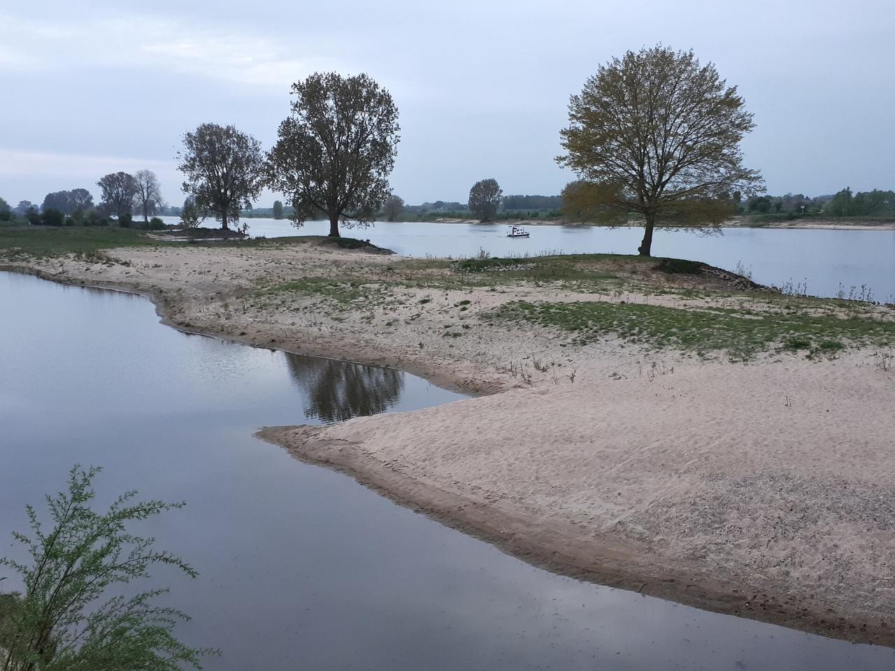 Maas bij Gewande in Noord-Brabant