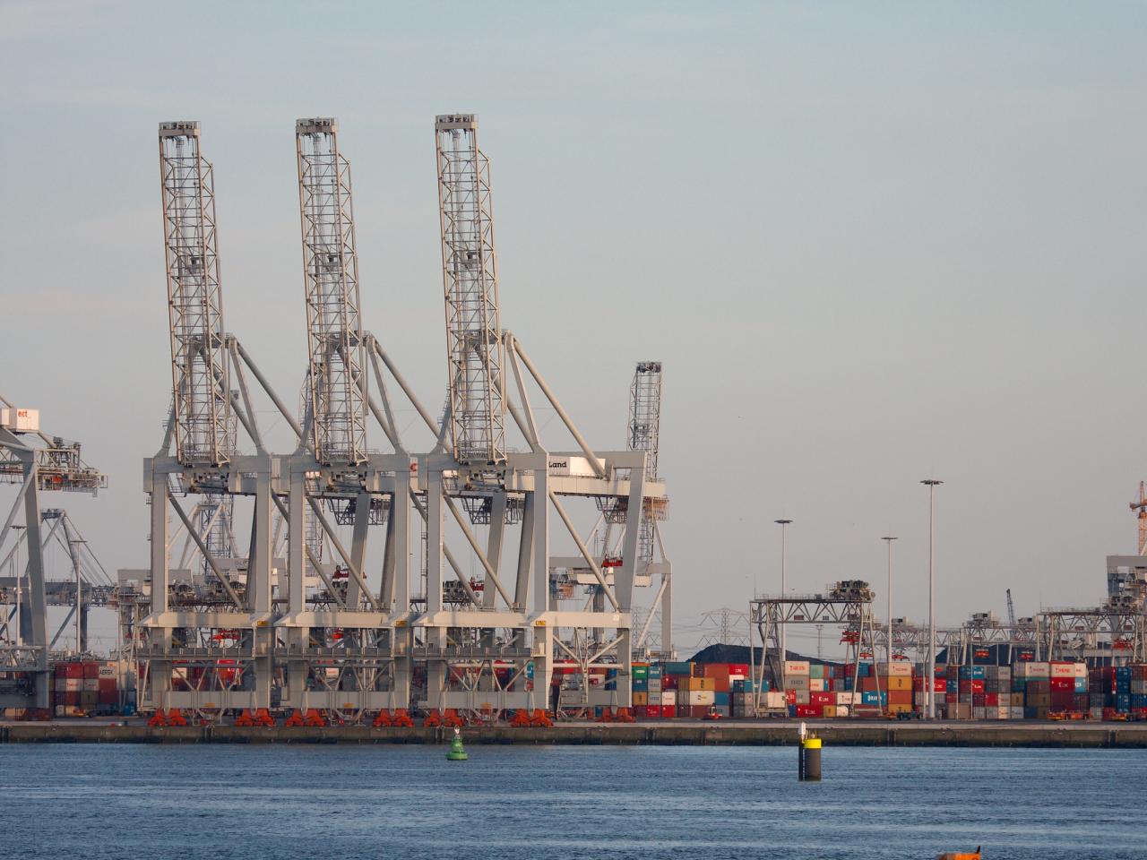 Hijskranen en containers in de haven van Rotterdam