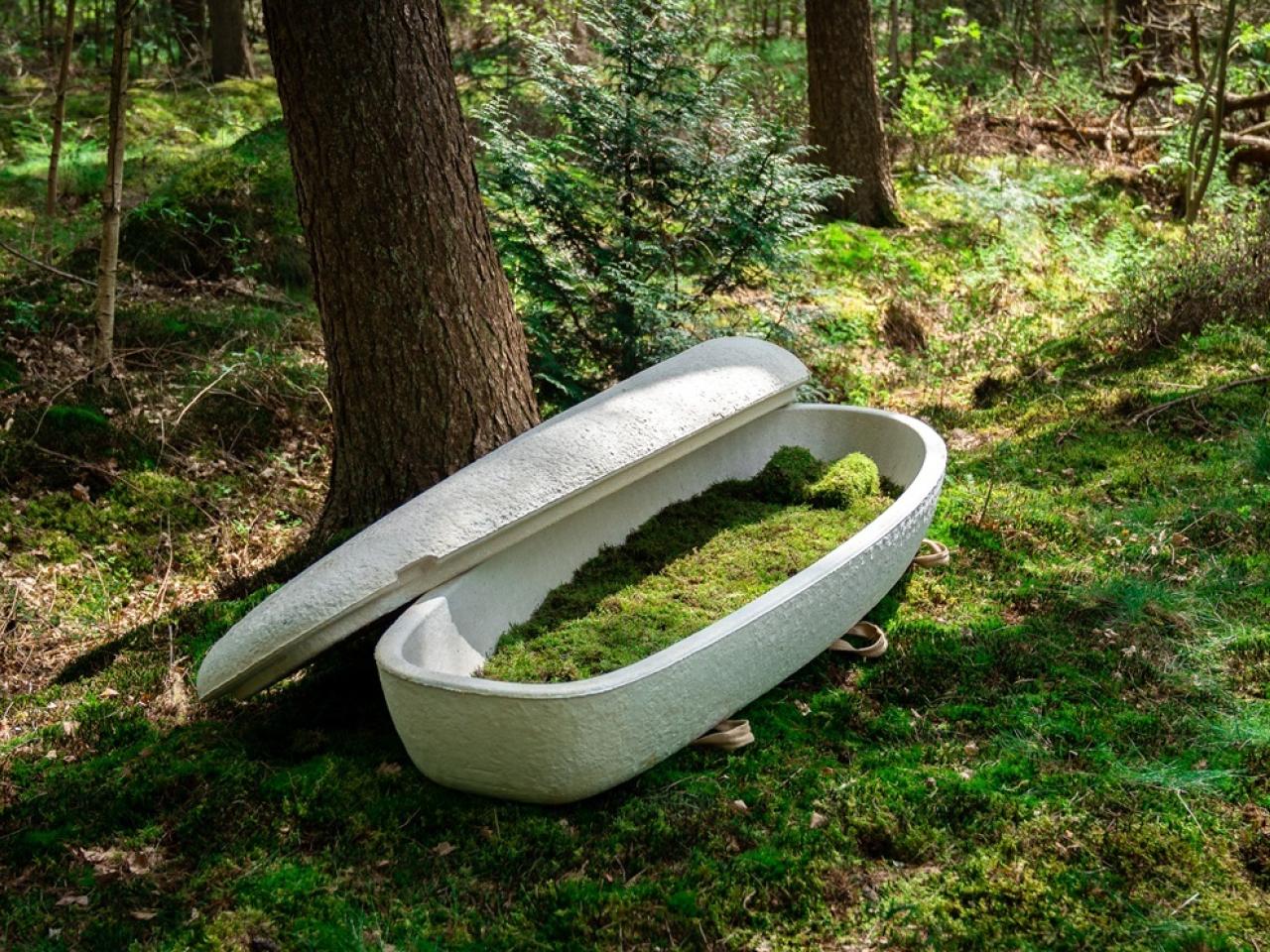 Doodskist van mycelium.