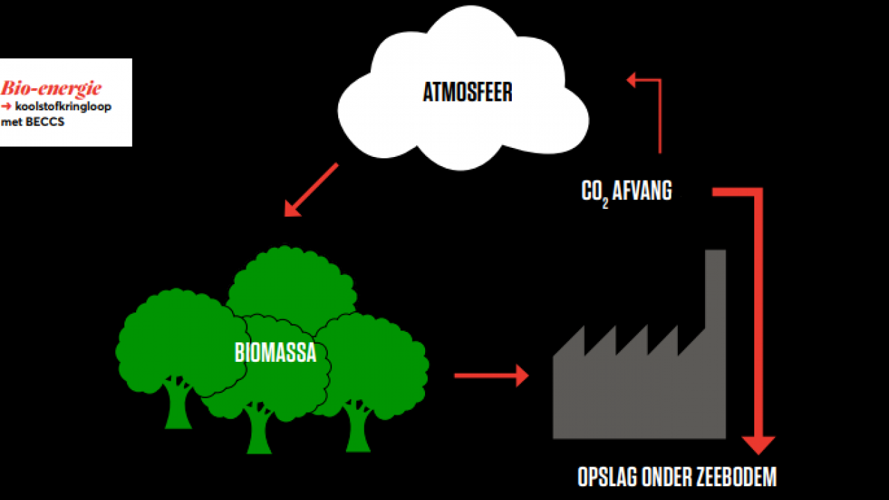 Uitleg biomassa met visuals
