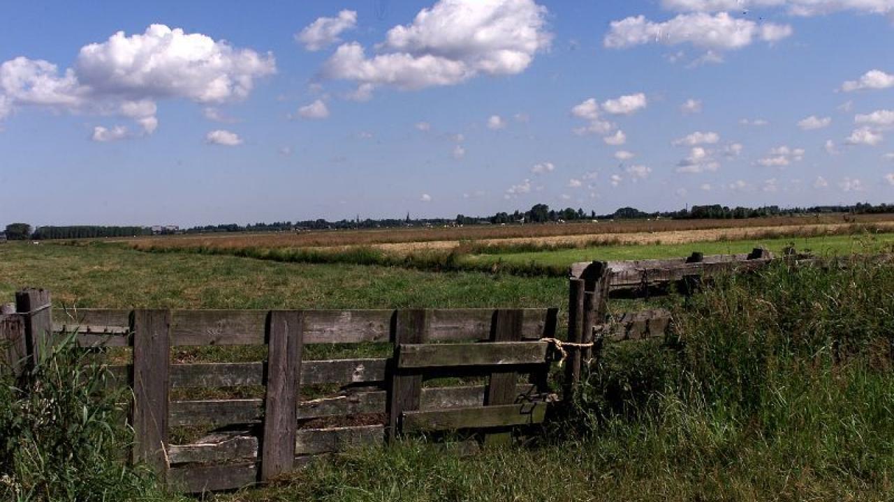 De polder in Braambrugge.