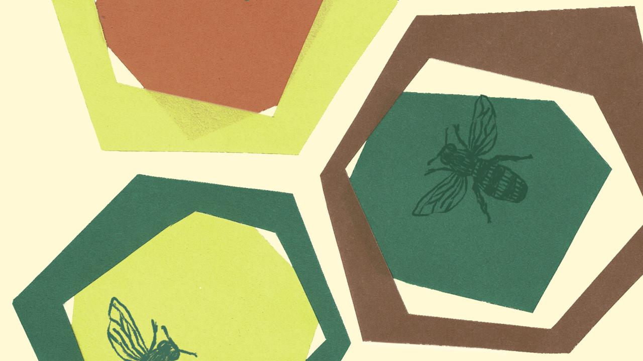 de Helling lente 2026 omslag